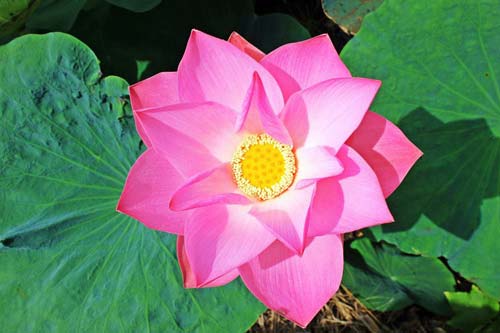 481995管家婆